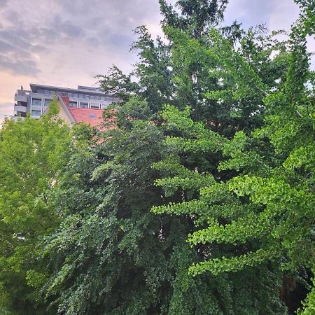 Privatzimmer An Der Uniklinik מיינץ מראה חיצוני תמונה