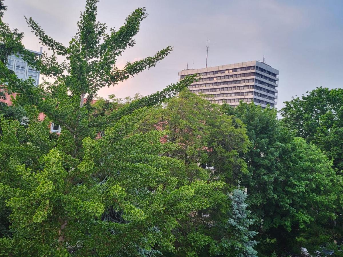 Privatzimmer An Der Uniklinik מיינץ מראה חיצוני תמונה